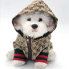 A fluffy white dog wearing a beige patterned hooded jacket with red and green striped cuffs.