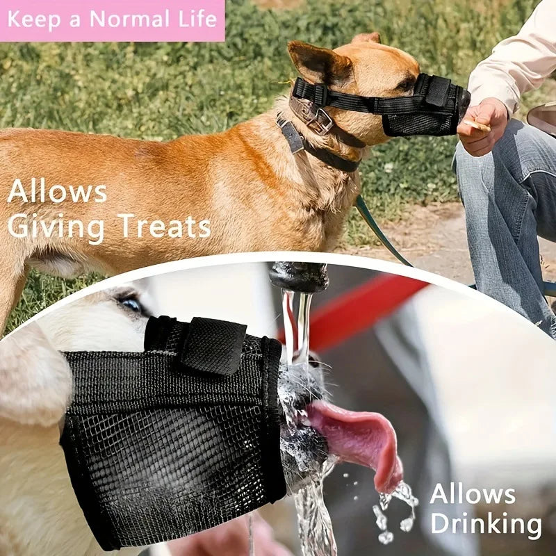 A dog wearing a black adjustable soft muzzle is shown drinking water.