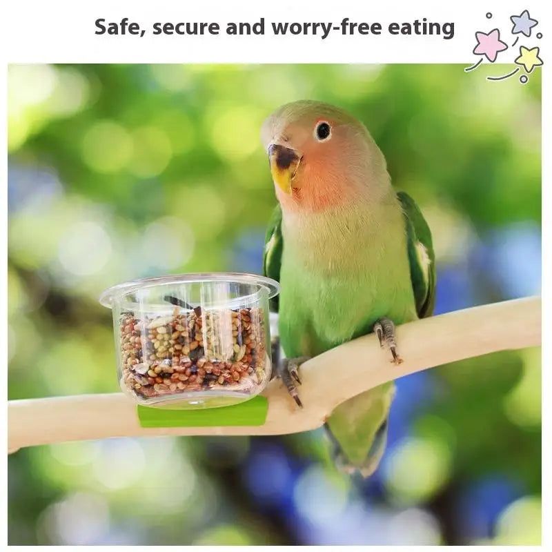 A small green bird is perched on a branch next to a clear plastic cup filled with bird seed.