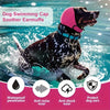 Ein schwarzer Hund schwimmt im Wasser mit einer rosa Schwimmhaube und Ohrmuff für Gehörschutz.