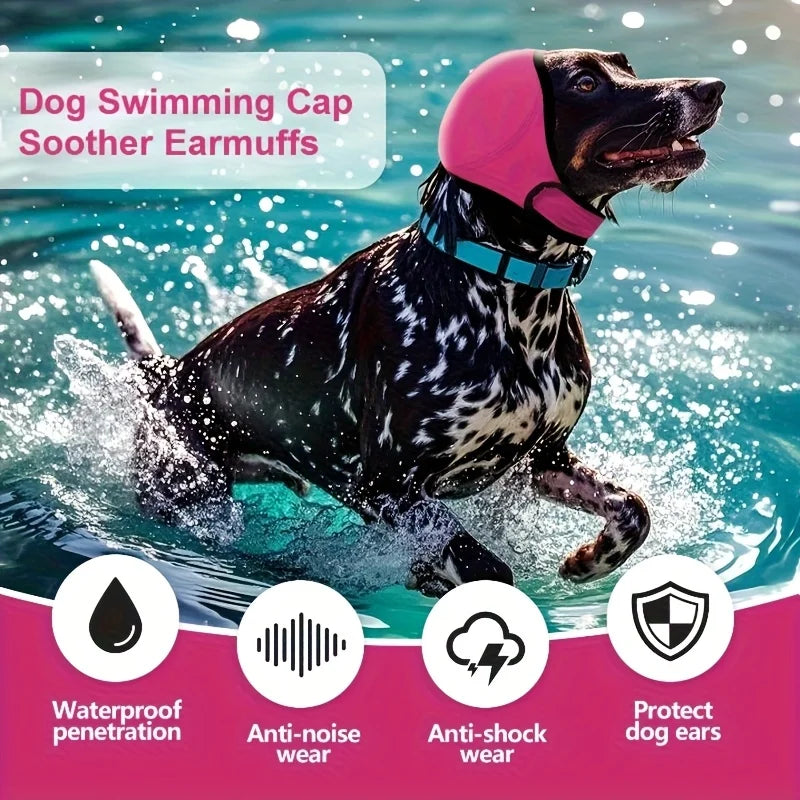 Ein schwarzer Hund schwimmt im Wasser mit einer rosa Schwimmhaube und Ohrmuff für Gehörschutz.