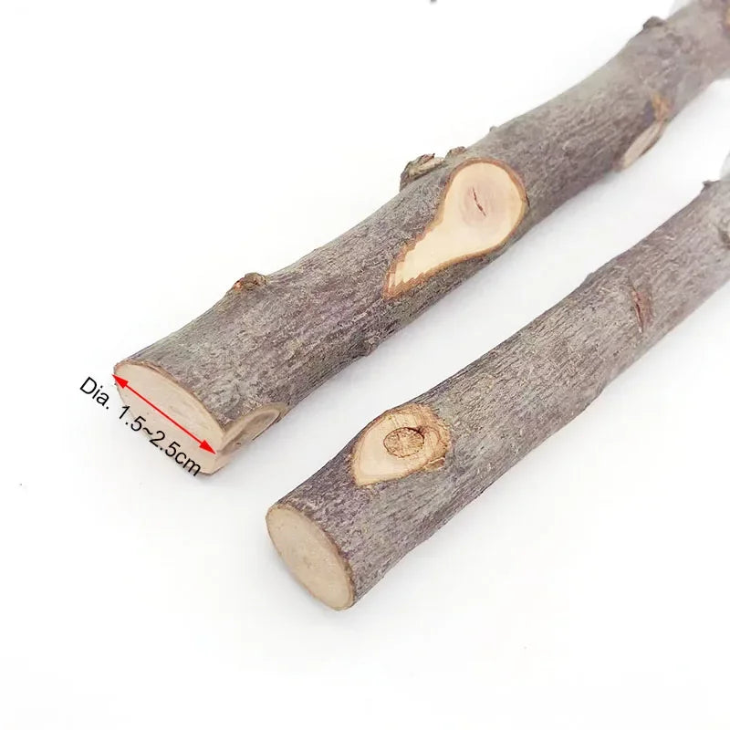 Une longue branche de bois naturel avec une coupe transversale indiquant un diamètre de 1,5 à 2,5 cm.