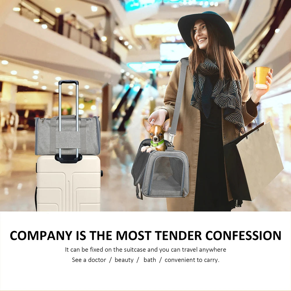 A woman is carrying a grey travel pet carrier bag in her hand while standing in a brightly lit indoor area.