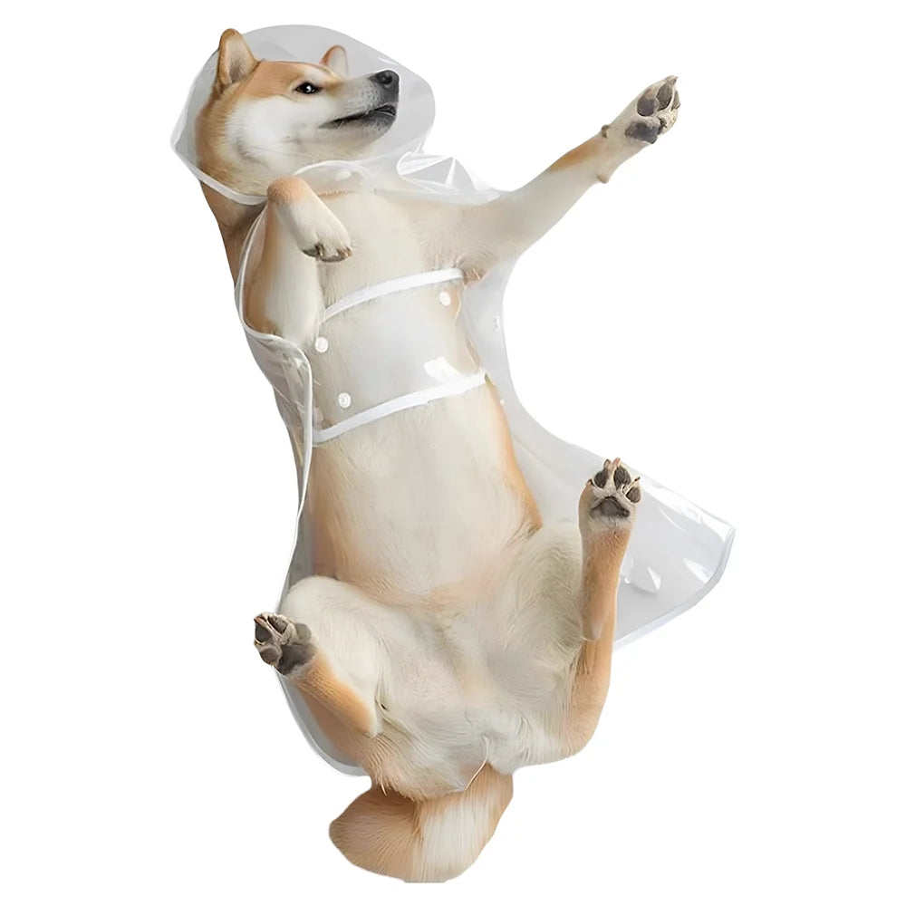 Ein Hund in einem transparenten, wasserdichten Regenmantel, stehend oder sitzend.