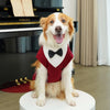 A happy dog wearing a red tuxedo costume with a black bow tie sitting on a white pedestal.