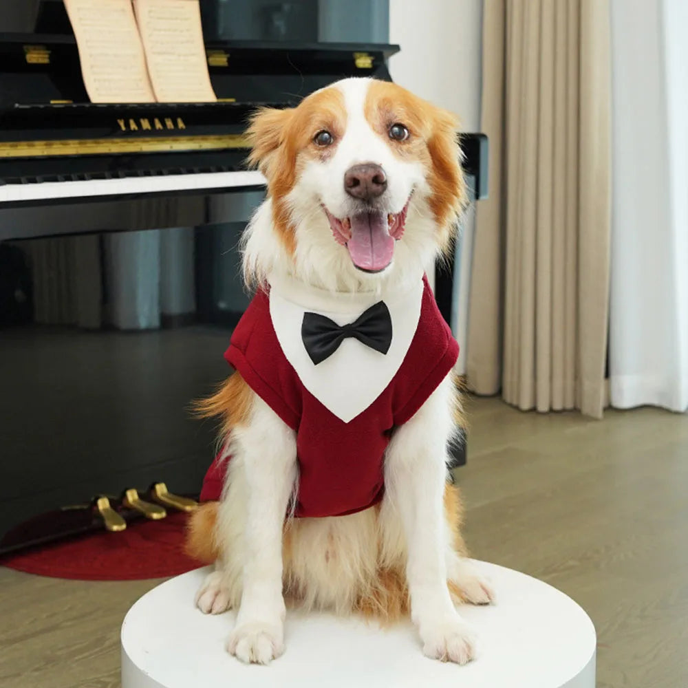 A happy dog wearing a red tuxedo costume with a black bow tie sitting on a white pedestal.