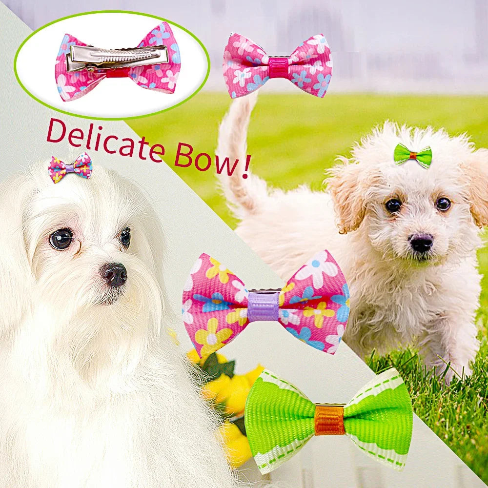 Primer plano de un perro blanco llevando diversos lazos y clips de tela rosa, verde y morado para el aseo.