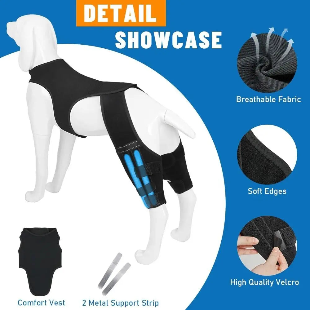 Detail showcase of a black breathable vest with blue support strips and soft edges for dog joint protection