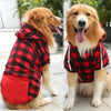 A golden retriever wearing a red and black plaid winter jacket sitting outdoors.