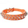 Orange leather dog collar with silver spikes and a buckle closure.