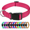 A pink nylon dog collar with a black buckle and a row of various colored dog collars.