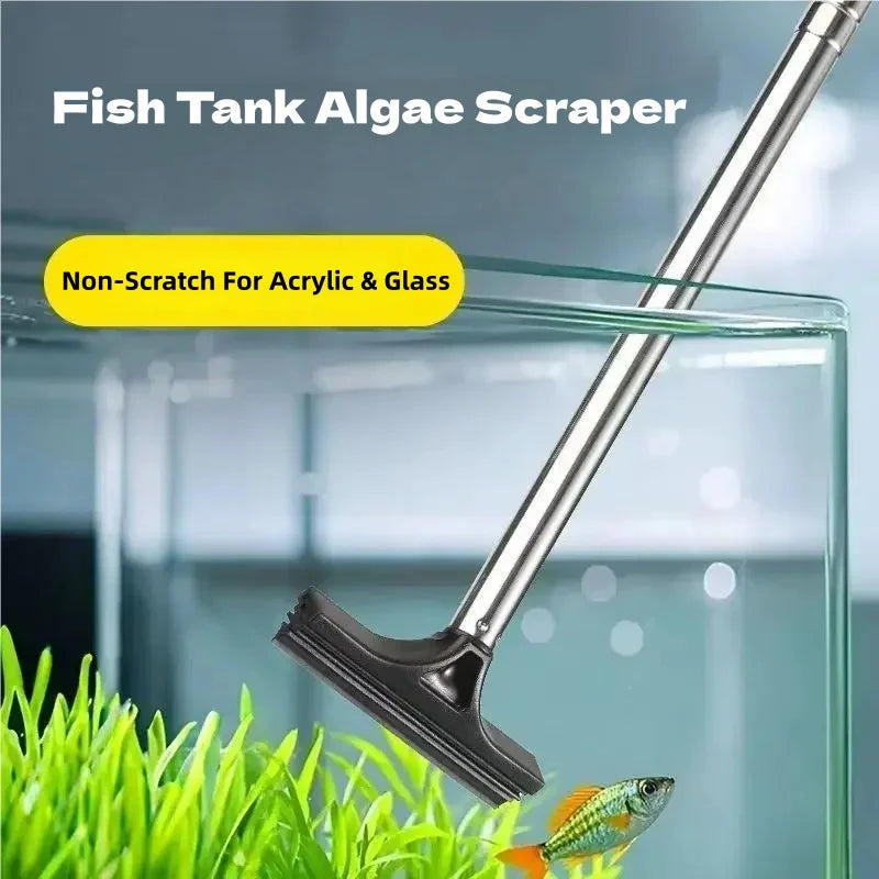 A silver telescopic fish tank algae scraper is shown cleaning a glass aquarium with aquatic plants and a small fish.