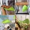 A green basking platform with a suction cup holds a small lizard on a wooden stick inside a glass enclosure.