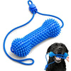 Un juguete masticable dental para perros azul de doble acción con una correa elástica azul y un perro negro mordiéndolo.
