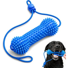 A blue dual-action dog dental chew toy with a blue elastic leash and a black dog chewing it.