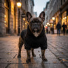 A French Bulldog wearing a black hoodie standing on a cobblestone street.