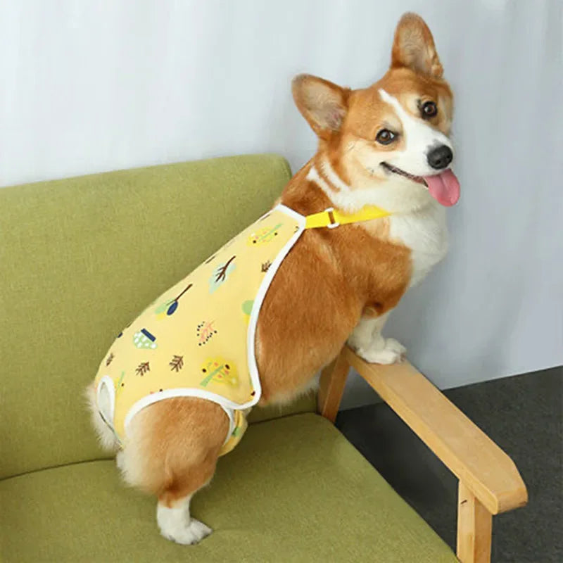 Ein kleiner, hellbraun-weißer Hund mit gelbem Halsband auf einem grünen Sofa.