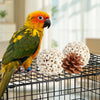 Un perroquet orange et jaune vif est perché sur une cage de fil à côté de jouets naturels comme des cônes de pin.