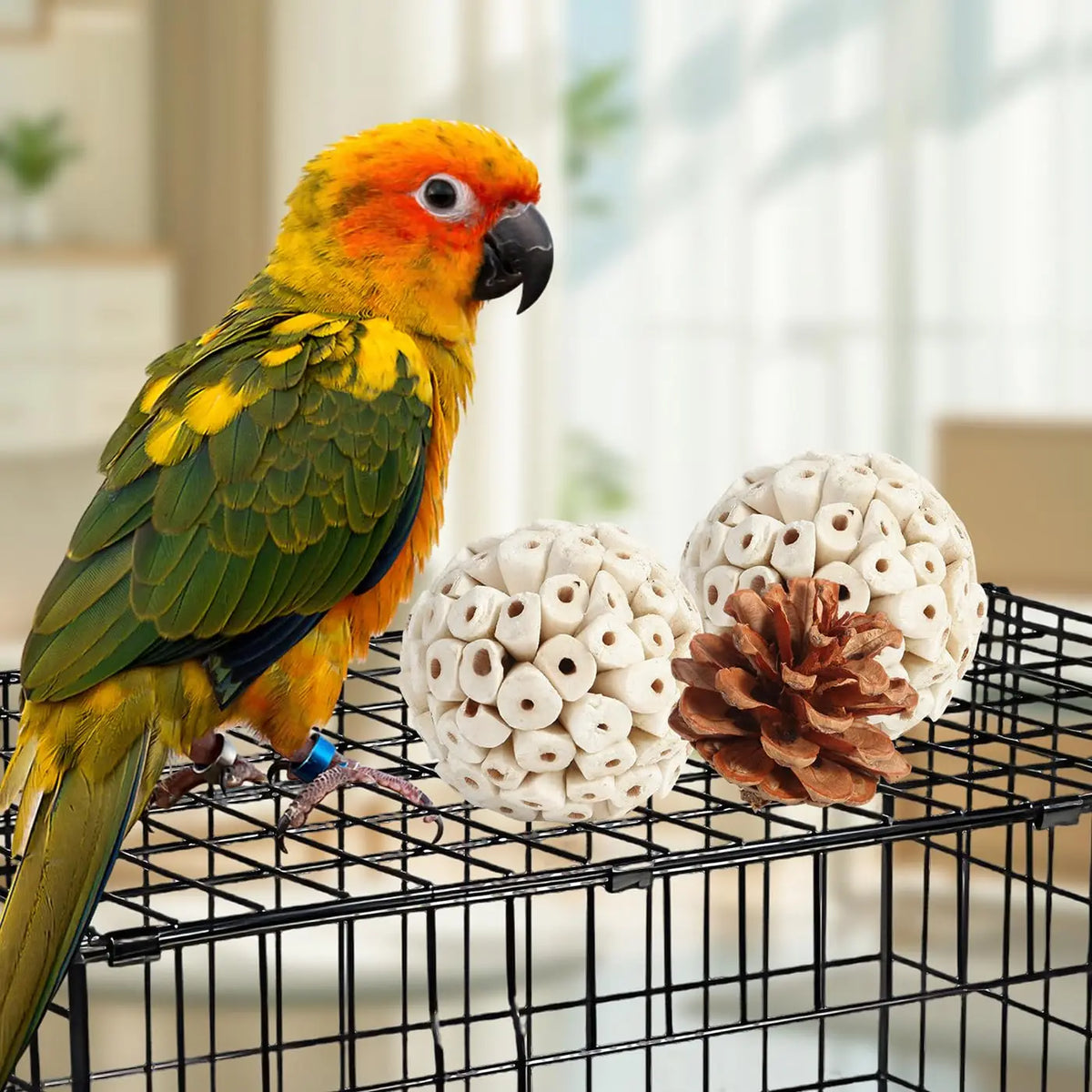 Un perroquet orange et jaune vif est perché sur une cage de fil à côté de jouets naturels comme des cônes de pin.