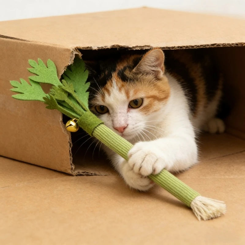 An orange and white tabby cat is holding a green catnip molar stick toy inside a cardboard box.