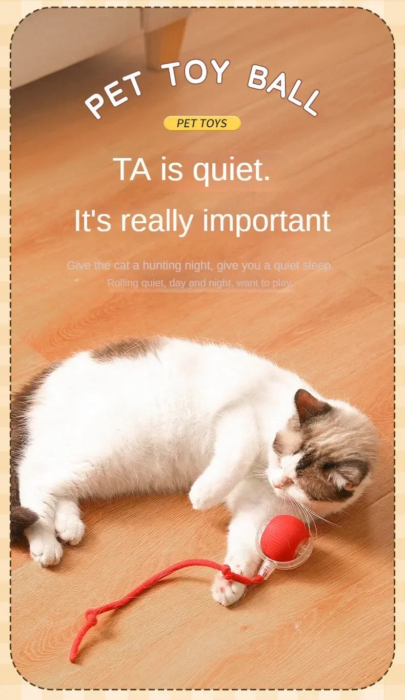 A white cat is playing with a red rolling toy ball on a wooden floor.