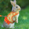 A small rabbit wearing an orange mesh harness and leash standing in green grass.
