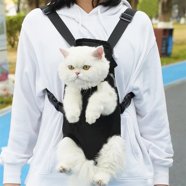 A white fluffy cat is sitting inside a black adjustable carrier backpack worn by a person.