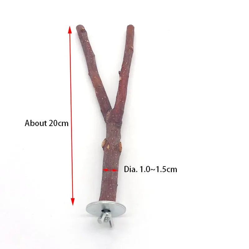 Perche ou jouet à mâcher en bois naturel en forme de 'V', environ 20 cm de long et d'un diamètre de 1 à 1,5 cm.