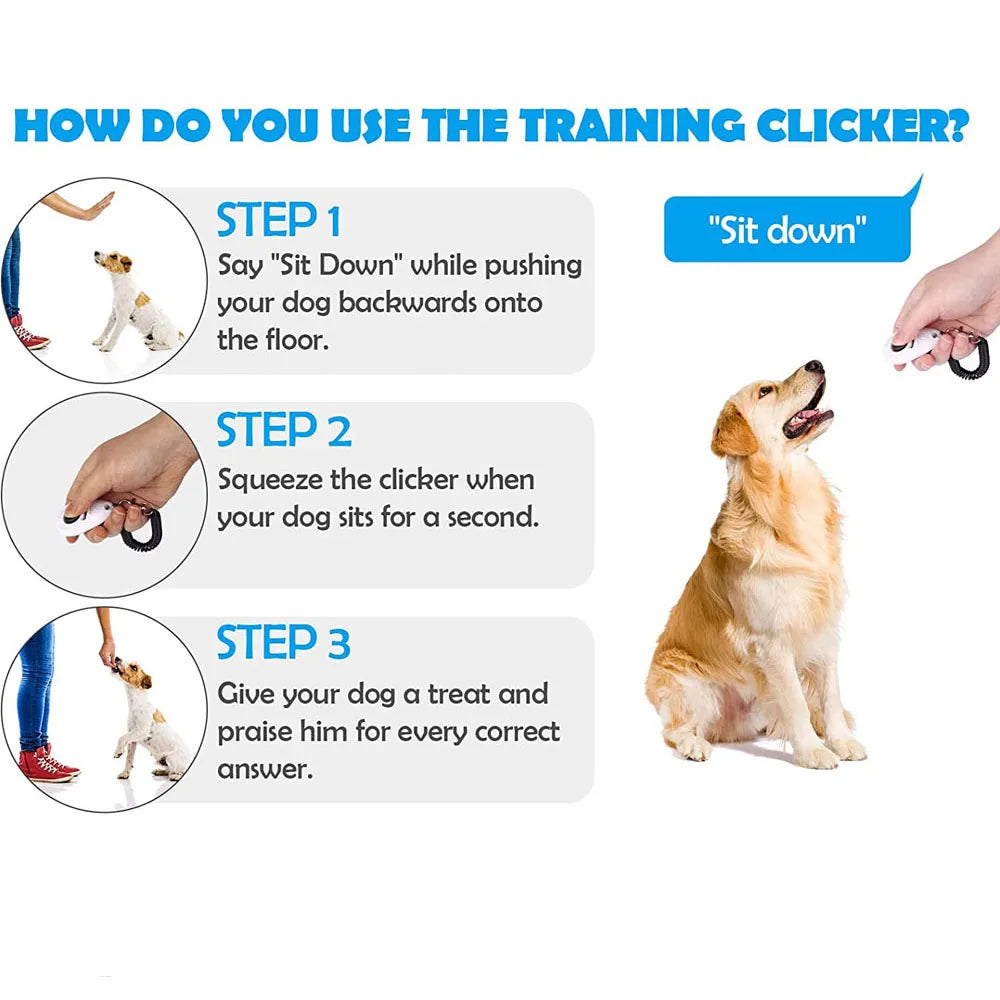 Instructions pour utiliser un clic de dressage pour deux animaux, montrant trois étapes pour l'entraînement du chien