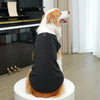 A golden retriever wearing a black fleece tuxedo costume with a bow tie standing on a white pedestal.