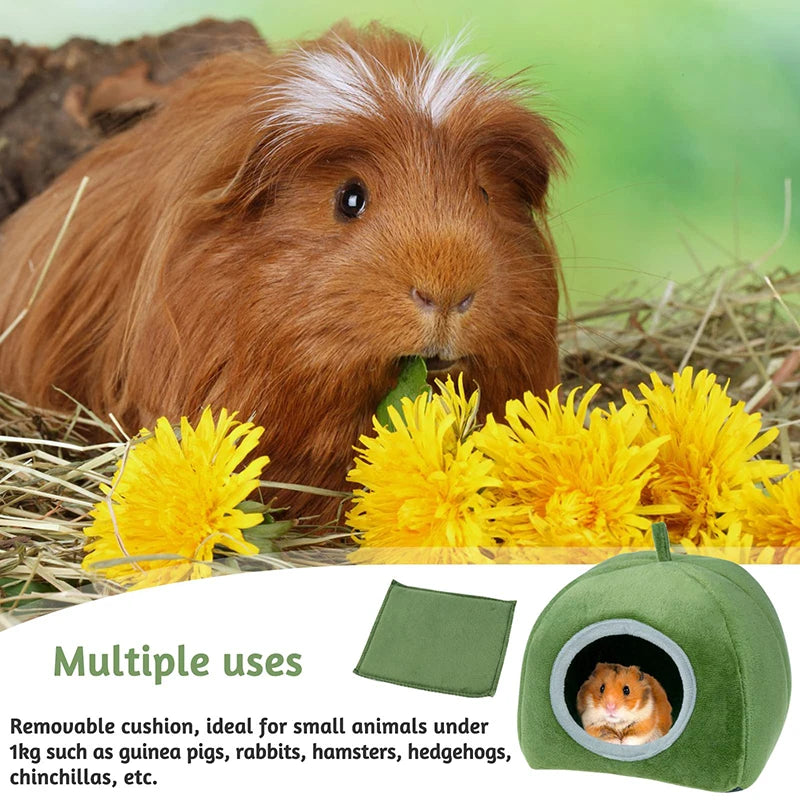 A fluffy brown guinea pig is shown inside a green plush cave bed for small animals.