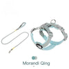 A light blue breathable no-pull dog harness with gray straps and reflective strips.