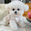 A fluffy white dog wearing a floral print vest sitting on a marble surface.