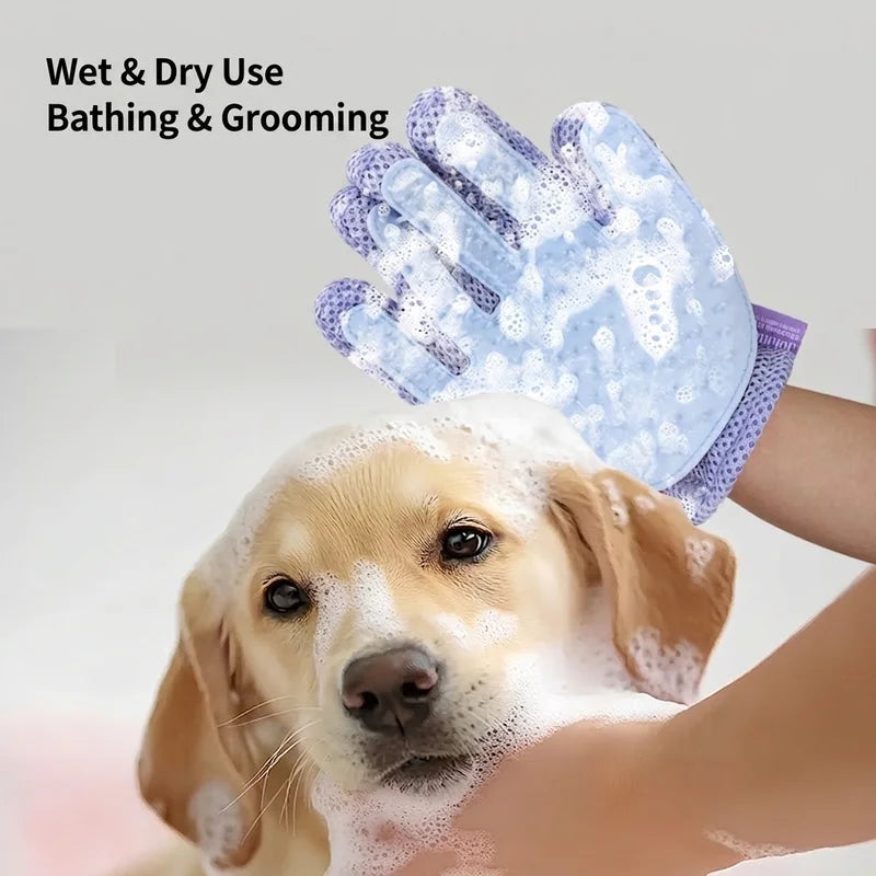 Eine Hand mit blauem Pflegemitt wäscht sanft das Gesicht eines Golden Retrievers mit Seublasen.