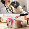 A dog wearing a black noise cancelling ear wrap is being examined by a veterinarian.