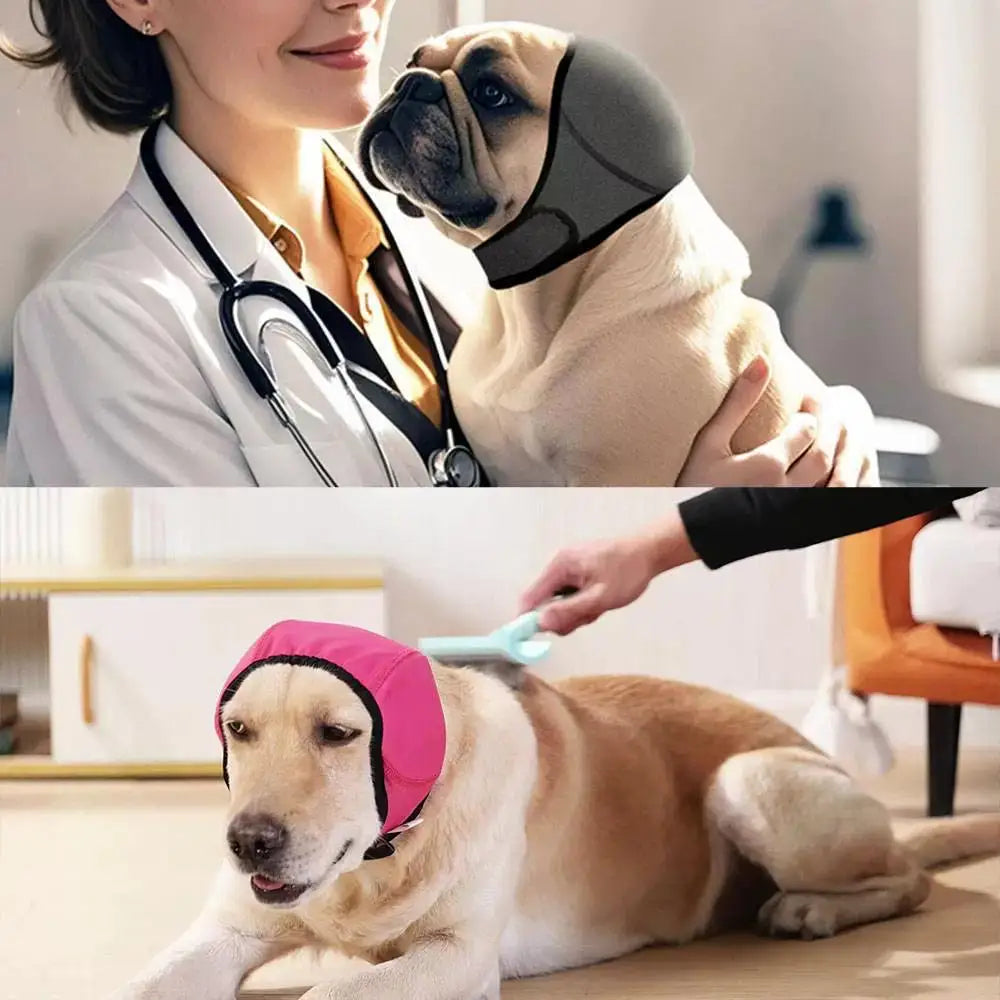 A dog wearing a black noise cancelling ear wrap is being examined by a veterinarian.