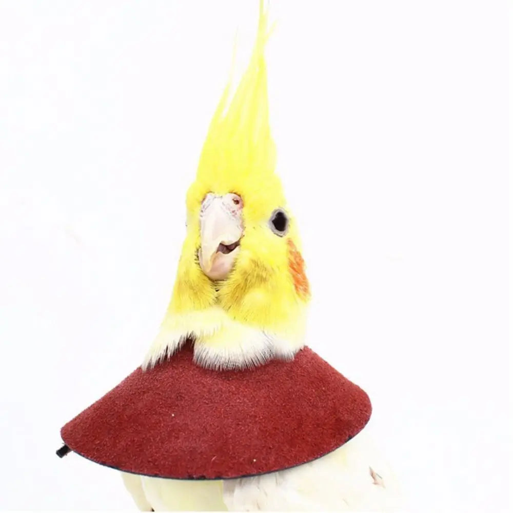 Primer plano de un pájaro amarillo y naranja con un collar granate.