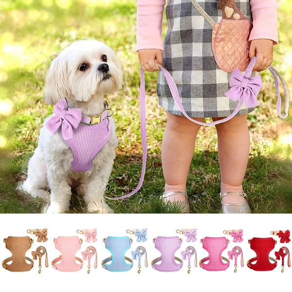 A collection of various pink, purple, and red dog collar harnesses and leashes for dogs.