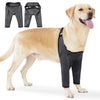 A golden retriever wearing a black dog recovery suit for leg wounds, shown alongside the suit components.