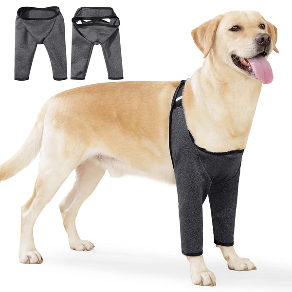 A golden retriever wearing a black dog recovery suit for leg wounds, shown alongside the suit components.