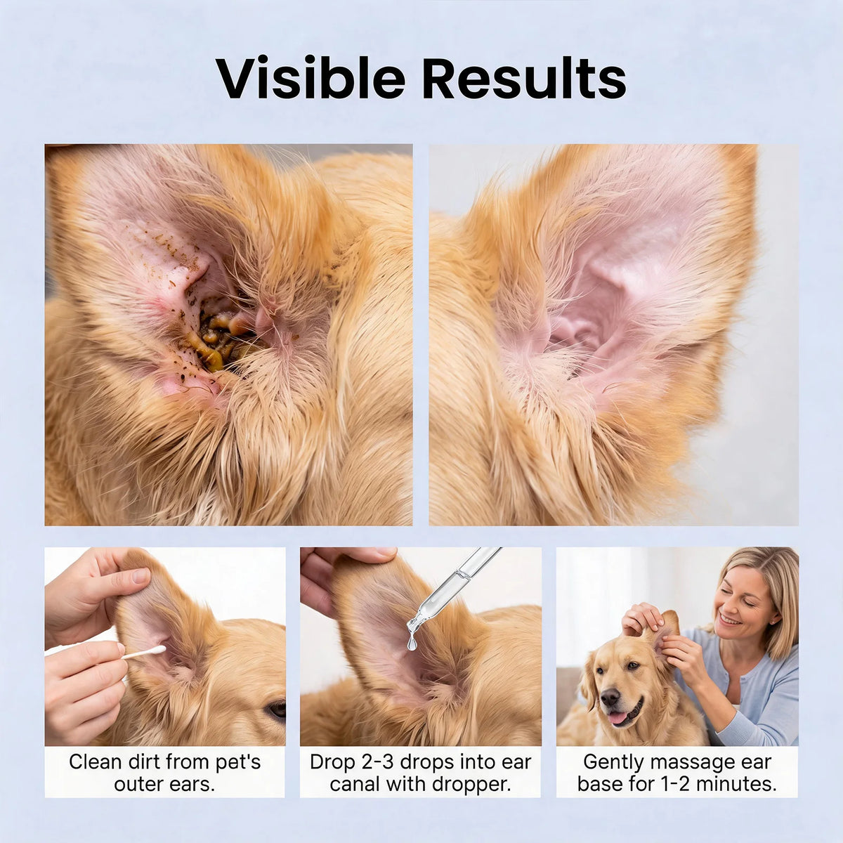 Demonstration of cleaning pet ears with a dropper, showing how to clean dirt from the outer ears and massage the ear base.
