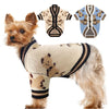 A small, light brown dog wearing a beige knit sweater with a bear pattern.