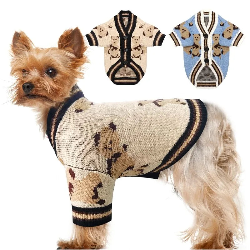 A small, light brown dog wearing a beige knit sweater with a bear pattern.