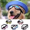 Ein Hund mit blauem Hut und Sonnenbrille, verschiedene bunte Hundesonnebrillen darunter.