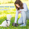 Une femme est agenouillée dehors avec un chien blanc, tenant un sac à excréments noir.