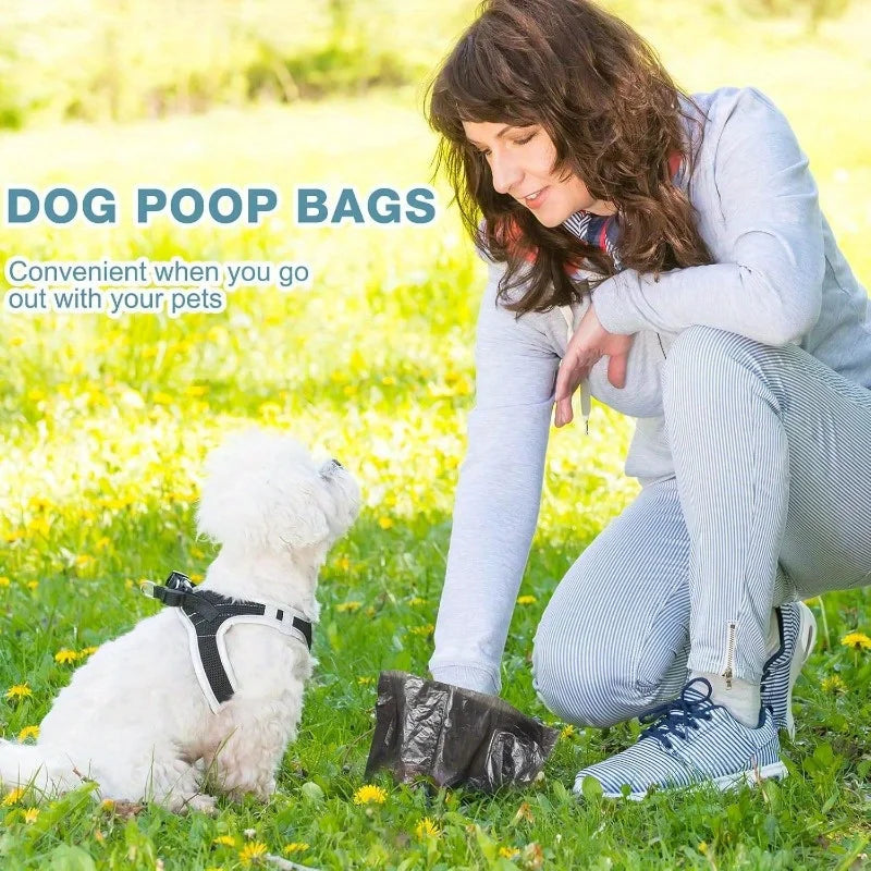 Une femme est agenouillée dehors avec un chien blanc, tenant un sac à excréments noir.