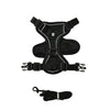 Black reflective adjustable dog and cat harness with leash