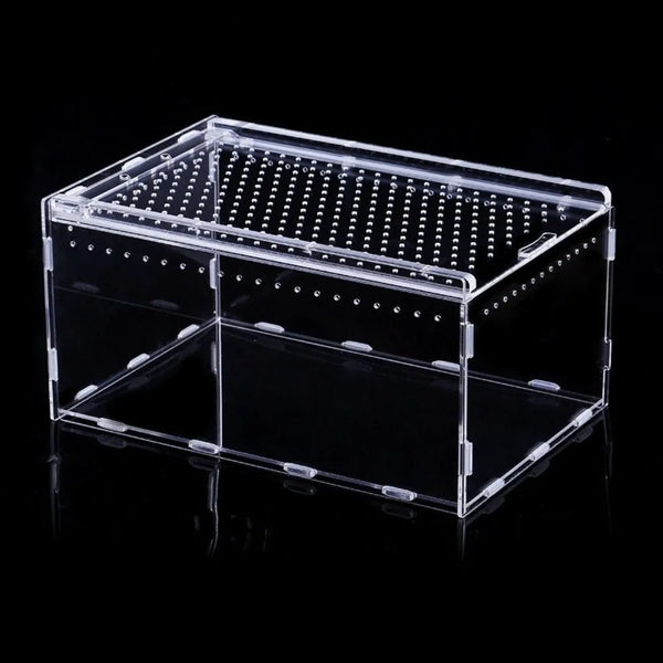 Boîte d'habitat pour reptiles en acrylique transparent avec fond et compartiments filetés.