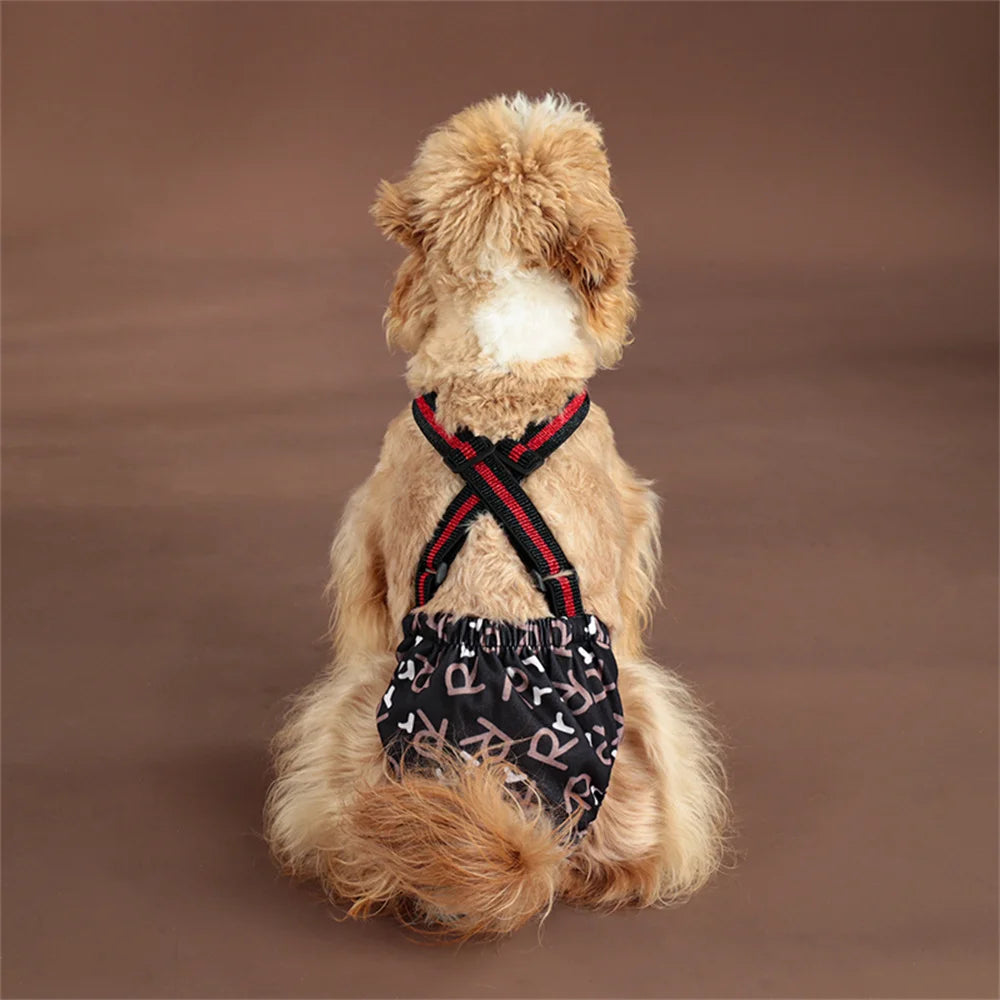 Ein hellbrauner Hund trägt schwarze und rote wiederverwendbare Funktionsshorts.