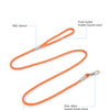 A bright orange nylon dog leash featuring a reflective strip and a zinc alloy swivel hook clasp.